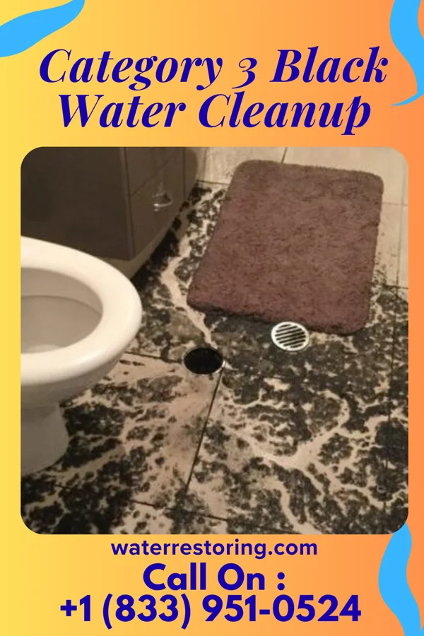 Category 3 Black Water Cleanup in Forest Park, GA