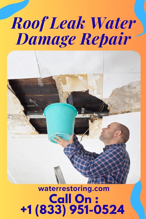 Roof Leak Water Damage Repair in Forest Park, GA